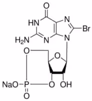 8-bromoguanosine 3 :5 -cyclic 100 mg