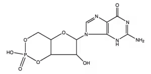 Guanosine 3 :5 -cyclic monophosphate 5 mg