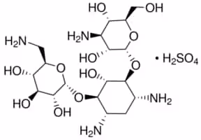 Kanamycin sulfate from from streptomyce 1 g