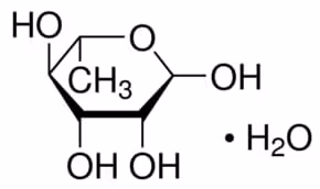 L-rhamnose monohydrate 10 g