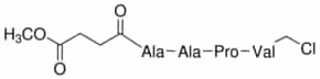 N-methoxysuccinyl-ala-ala-pro-val 10 mg