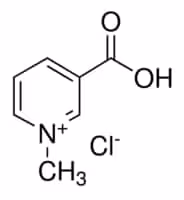 Trigonelline hydrochloride, analytical standard 100 mg