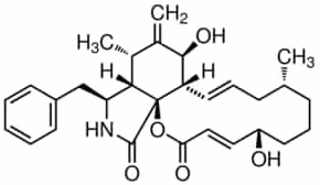 Cytochalasin b from dreschslera dematio 5 mg