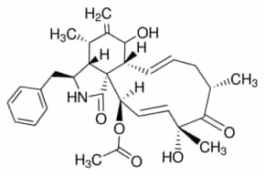Cytochalasin d from zygosporium mansoni 200 µl
