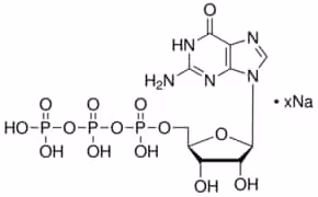 Guanosine 5 -triphosphate sodium 100 mg