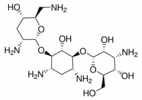 Tobramycin aminoglycoside antibiotic 100 mg