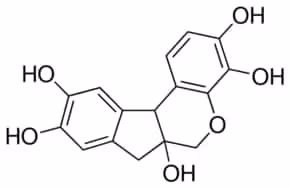 Hematoxylin 25 g