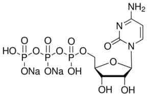Cytidine 5 -triphosphate disodium salt s 25 µmol