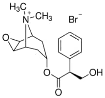 (-)-Scopolamine methyl bromide 98% (HPLC), powder, 1 g