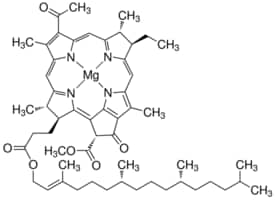 Bacteriochlorophyll from Rhodopseudomonas sphaeroides, 1 mg