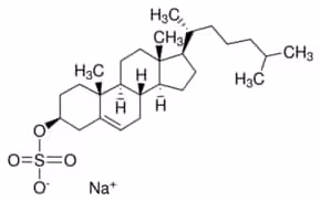 Sodium cholesteryl sulfate, 25 mg