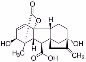 Gibberellic acid bioreagent sup à= 90% 500 mg