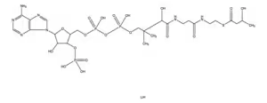 DI-béta-Hydroxybutyryl coenzyme A lithium salt 90%, 10 µg