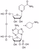 B-nicotinamide adenine dinucleotide phos 25 mg