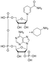B-nicotinamide adenine dinucleotide phos 25 mg