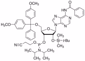 DMT-2'O-TBDMS-rA(bz) Phosphoramidite configured for ABI, 1 g