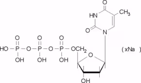 dTTP PCR Grade, sodium salt, 250 µl