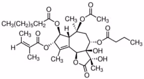Thapsigargin 0,5 mg