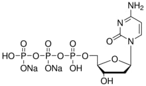 dCTP 99% (dNTP), inf à 0.9% (dNDP), solution, 100 mM, 250 µl