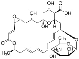 Pimaricin preparation about 2,5% aqueous suspension 20ml 20 ml