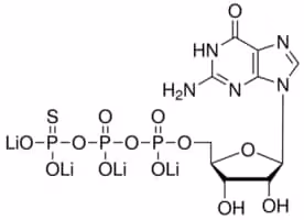 Guanosine 5 -o-(3-thiotriphosphate) tetr 1 mg