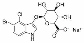 5-bromo-4-chloro-3-indolyl b-d- 10 mg