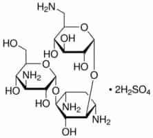 Kanamycin disulfate salt from streptom 5 g