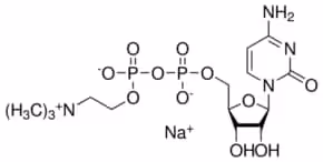 Cytidine 5 -diphosphocholine sodium 100 mg