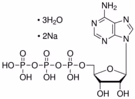 Adenosine 5'-triphosphate disodium salt trihydrate, 10 g