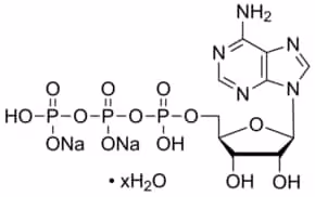 Adenosine 5 -triphosphate disodium salt 1 g