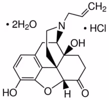 Naloxone hydrochloride 1 g