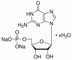 Guanosine 5 -monophosphate sodium 1 g