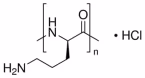 Poly-l-ornithine hydrochloride mol wt 10 mg