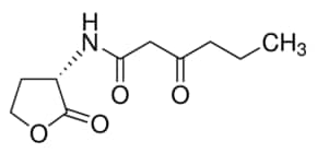 N-(b-ketocaproyl)-l-homoserine lactone 10 mg