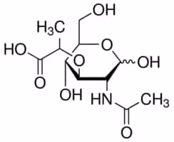 N-acetylmuramic acid 10 mg