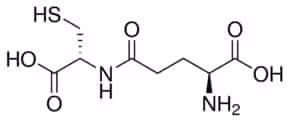 Gamma-Glu-Cys 80% (HPLC), 25 µg