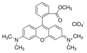Tetramethylrhodamine methyl ester 25 mg