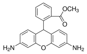 Dihydrorhodamine 123 95%, 2 µg