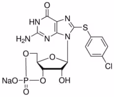 8-(4-chlorophenylthio)guanosine 3 :5 - c 10 mg
