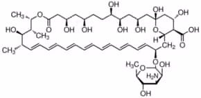Amphotericinb from from streptomyces 1 g