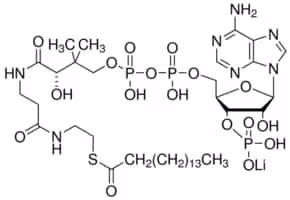 Palmitoyl coenzyme a (c16:0) lithium 10 mg