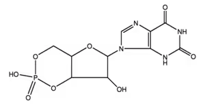 Xanthosine- 3 5 - cyclic monophosphat 1 VL