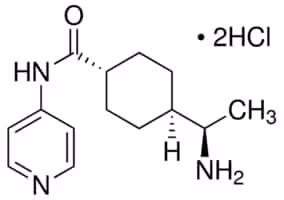 Y-27632 dihydrochloride powder sup à=98% 5 mg