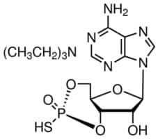 Rp-adenosine 3 ,5 -cyclic monophosphor 1 mg