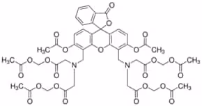 Calcein am 4mm in anhydrous dmso 100 µl
