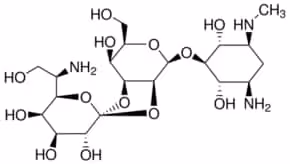 Hygromycin b from from streptomyces hyg 250 mg