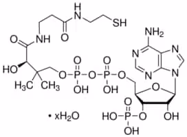 Coenzyme A hydrate 85% (UV, HPLC), 25 µg