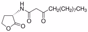 N-(3-oxododecanoyl)-l-homoserine lactone 100 mg