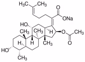 Fusidic acid sodium salt 98% (TLC), 1 g