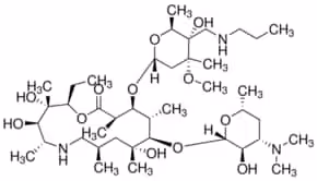 Tulathromycin a 10 mg
